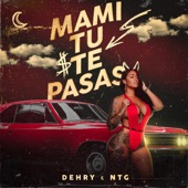 Mami tu te pasas artwork