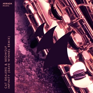 Infinity (Dave Winnel Remix) - Single