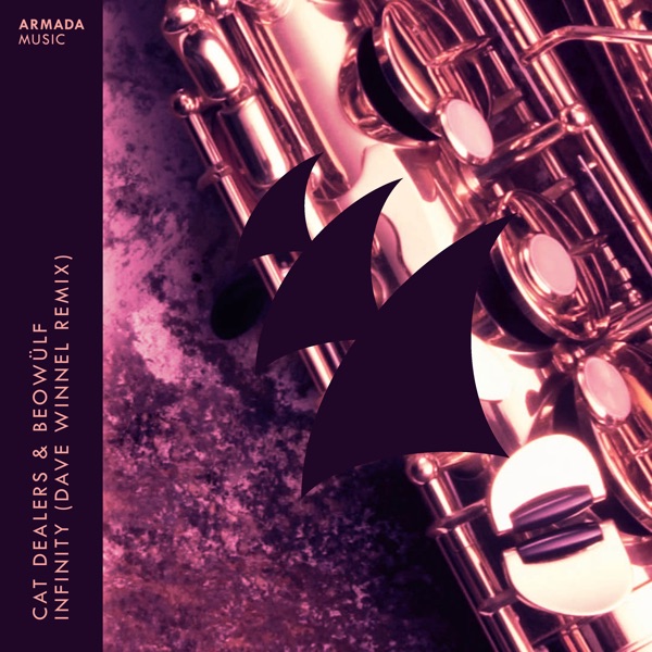 Infinity (Dave Winnel Remix) - Single