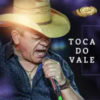 Causa Perdida — Toca do Vale