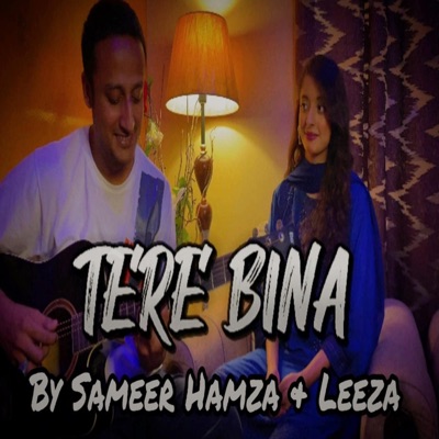 Tere Bina (feat. Leeza) - Single
