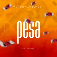 Pesa (feat. Banana zoro, Aman tone & Michu) - Single - Jeydrama