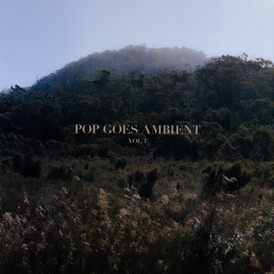 Song - As It Was (feat. Amelia Magdalena) - Pop Goes Ambient & Vancouver Sleep Clinic