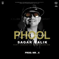 Khizan Ke Phool - Single - Sagar Malik