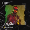 Naija Hits 2022 (DJ Mix)