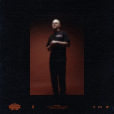 Viel Zu Viel - Single