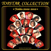 Topstar Collection (Remastered 2023) artwork