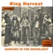 Dancing In the Moonlight (Original Recording) - King Harvest lyrics