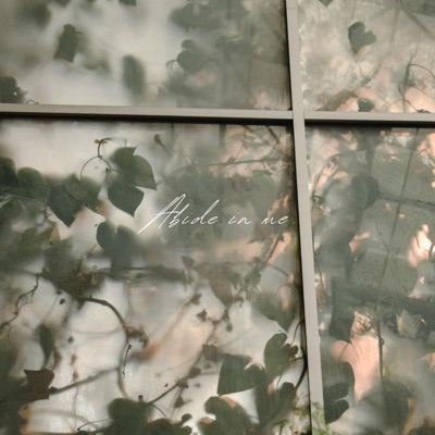 Abide in me - Single