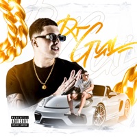 Super Mega Final de Ano (feat. MC GW) - Single - DJ GUI