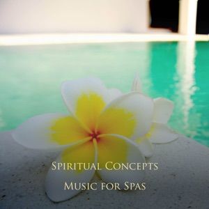 Music for Spas - EP