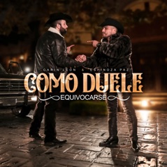 Como Duele Equivocarse (feat. Espinoza Paz) - Single