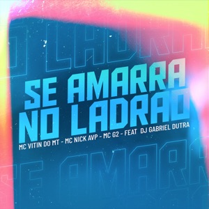 Se Amarra no Ladrão (feat. Dj Gabriel Dutra)