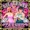 Lil Texas - Starships