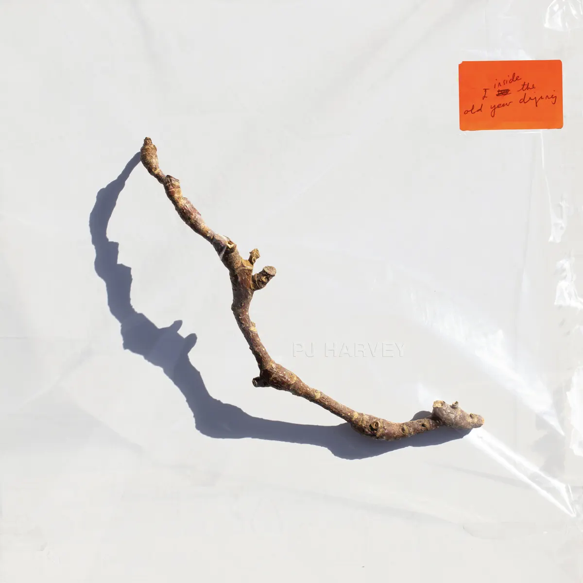 PJ Harvey - I Inside the Old Year Dying (2023) [iTunes Plus AAC M4A]-新房子