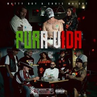 Pura Vida (feat. Chris Wright) - Single - Matty Boy