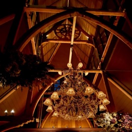 Petroleum natureplayer