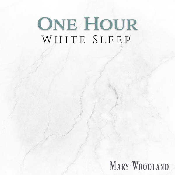 One Hour White Sleep (Trigger of Natural Noises)