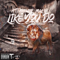 Like You Do (feat. Mac11, Troy Good & YaBoi Dirty) - Single - ATF Mischief