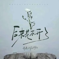 后来花不开了 - Single - Xiaowei Yuan & Ah Chen (Yan Chen)