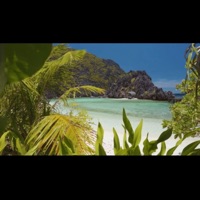 Different Views - Single - Boombaye