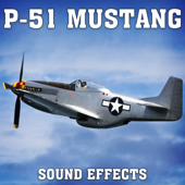 P-51 Mustang: Overhead Fly By 4 song art