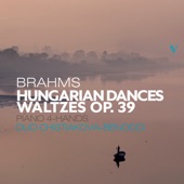 16 Waltzes, Op. 39: No. 11 in B Minor artwork