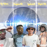 Cinderella -Dj Tabza x Waqcala Tibla x Tyga x IlovejamesJnr - Single - Young T