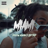 Miami (feat. SDP Trip) - Single - Fellow Human