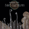 Forest of Lost Children - Kikagaku Moyo