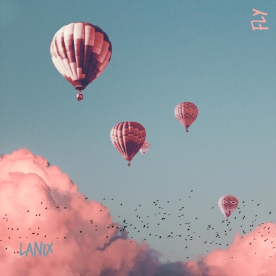 Fly - Single