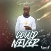 Could Never (feat. Gregstone19) - Single