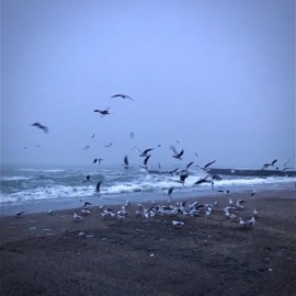 Witch in Da House Symonenko