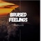 Bruised Feelings - Drebjosh lyrics