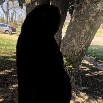 I'm Sorry I Didn't Take Pictures With You Under the Magnolia Tree - Single