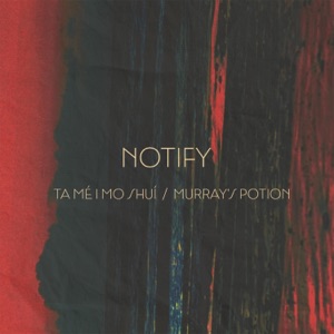 Tá Mé I Mo Shuí / Murray's Potion (feat. Niall McCabe) - Single