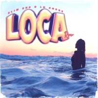 Loca Remix (feat. Lu Andre) - Single - Slim Snd