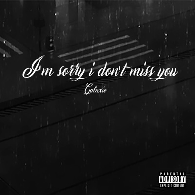 I'm sorry i don't miss you - Single