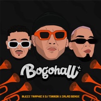 Bogohall - Single - DJ T3rror, Calao sense & Blezz Traphic