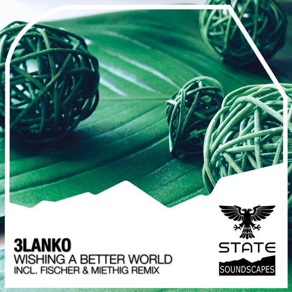 Wishing for a Better World - Single