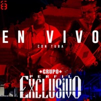 En vivo con tuba (En vivo) - Grupo perfil exclusivo