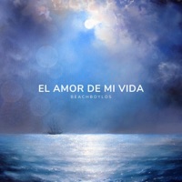 El Amor De Mi Vida - Single - Beachboylos