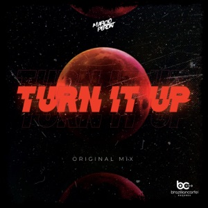 Turn It Up - Single