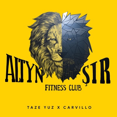 Altyn Shir (feat. Carvillo) - Single