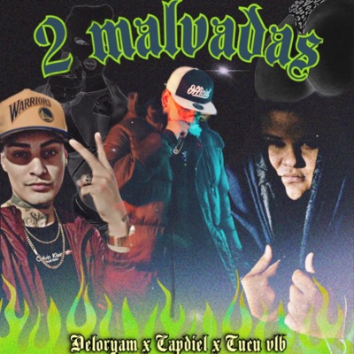 2 Malvadas (feat. Deloryam & Tucu vlb) - Single