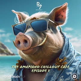 Ngikunika Uthando (feat. Sir Trill & Soa mattrix) [Mixed] DJ Givy Baby