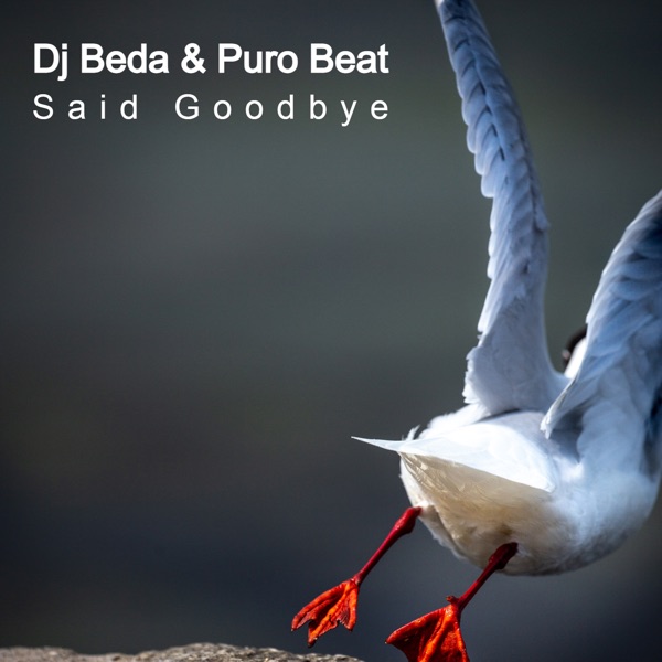 Said Goodbye - Single