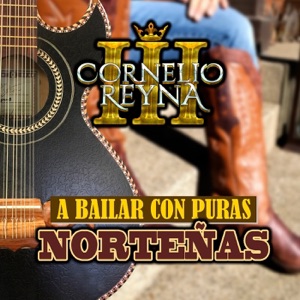 A Bailar Con Puras Norteñas (Norteño)