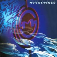 Spiritual High (State of Independence), Pt. 2 [feat. Chrissie Hynde] - Moodswings Cover Art