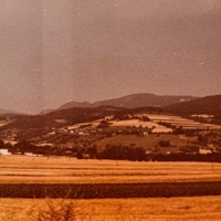 A Self Aware Song About Love - Single - backyard beetle, Lxst Boy & sixthirtyeight